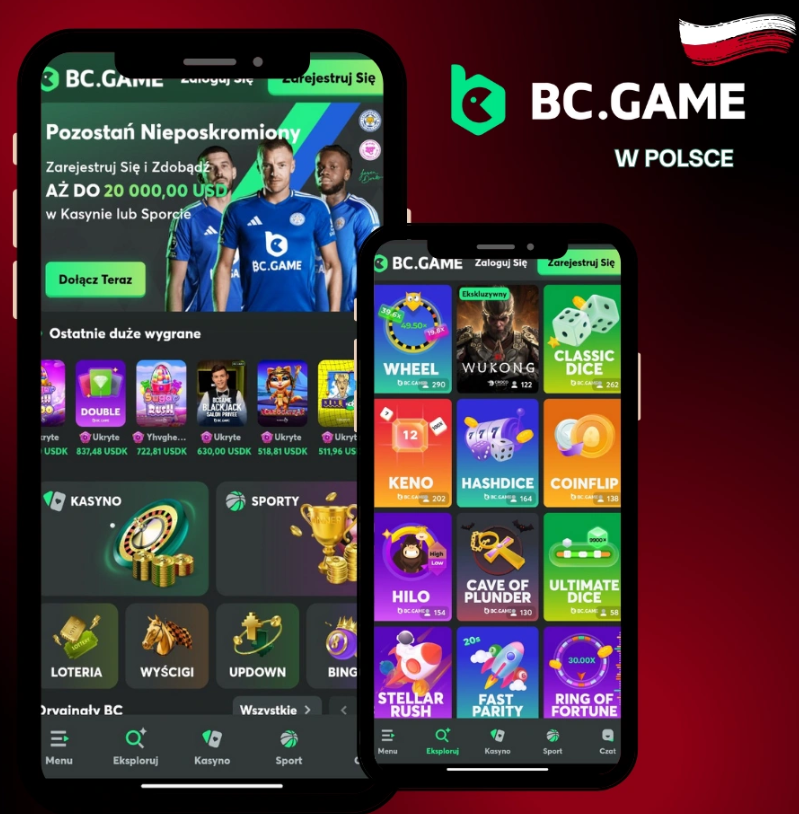 Exploring the World of BC.Game Bookmaker A Comprehensive Guide