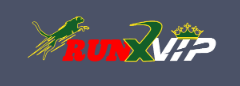 Runx Bet Your Ultimate Online Betting Experience Runx Bet Your Ultimate Online Betting Experience